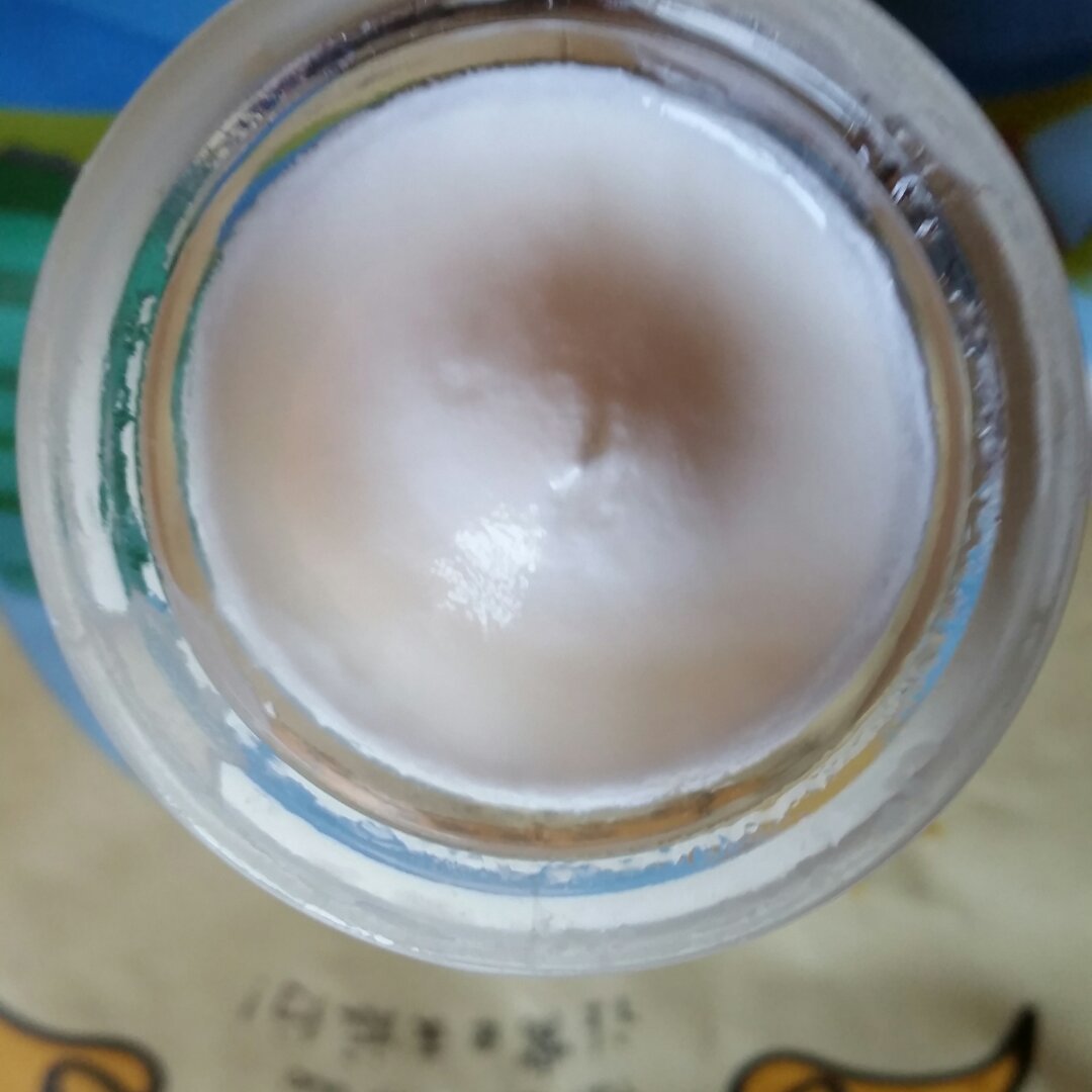 自制酸奶