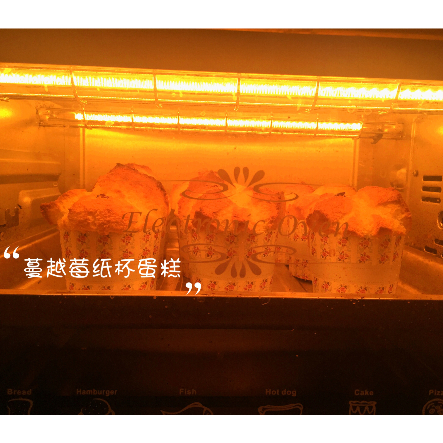 鲜奶油戚风杯子蛋糕（纸杯蛋糕）