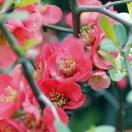 手机用户2409_ohbu