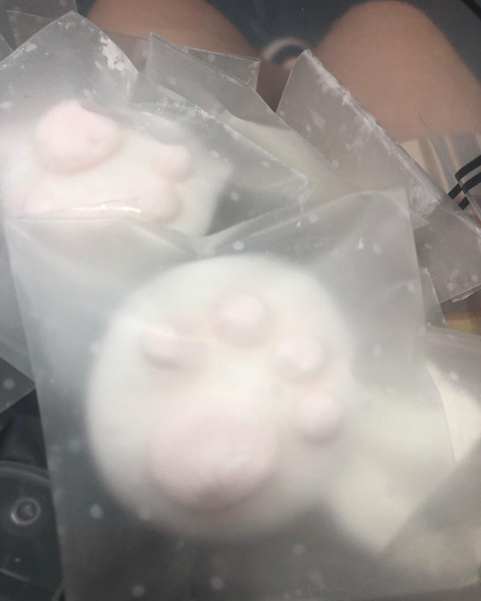 猫爪棉花糖&热可可【初味日记】