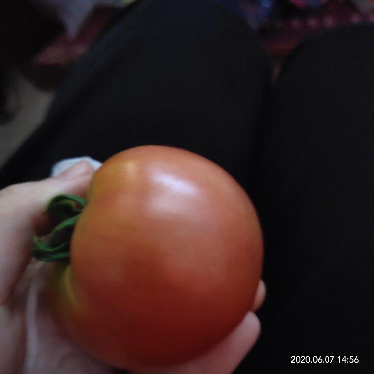 种植小技巧(记录生活记录美)