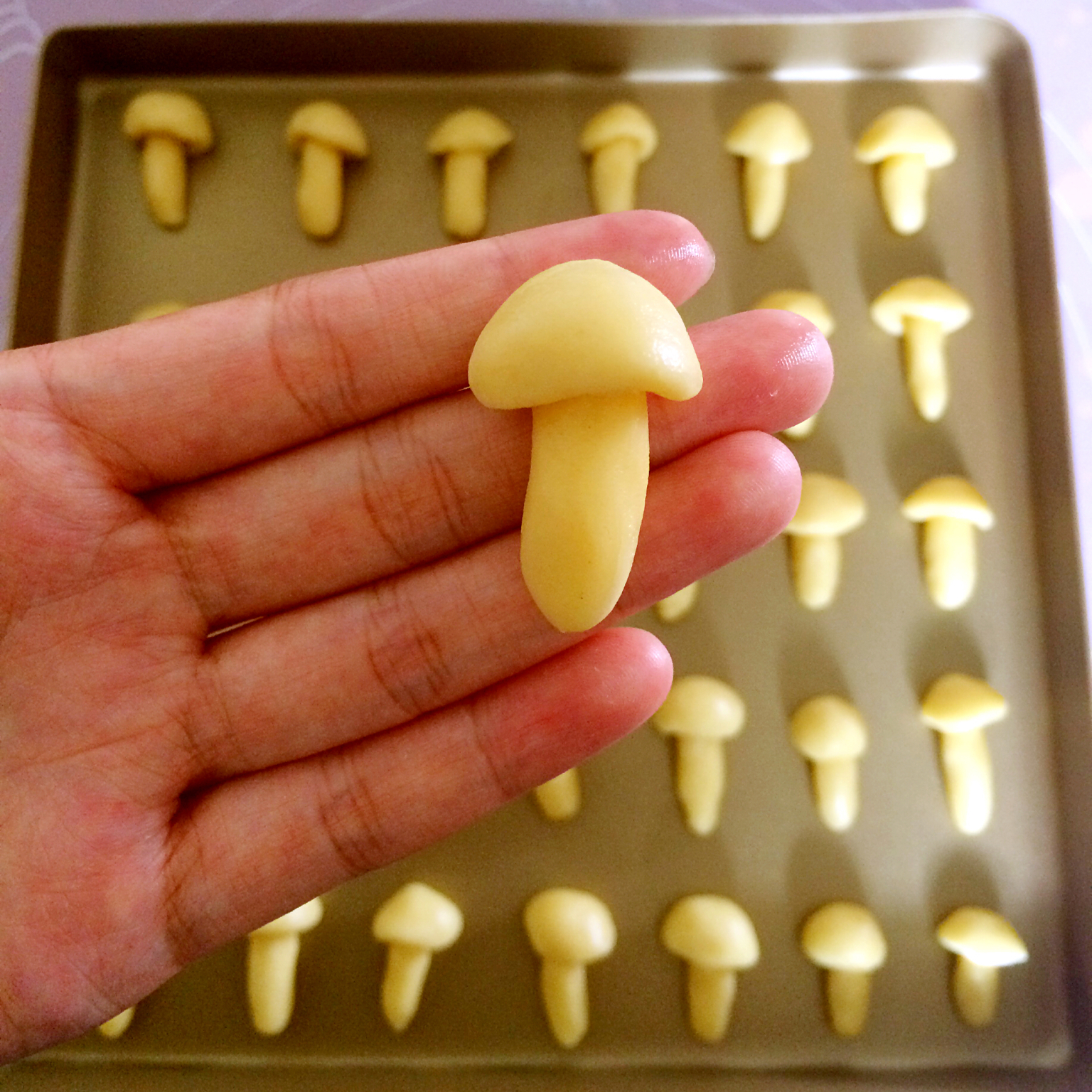 蘑菇力饼干