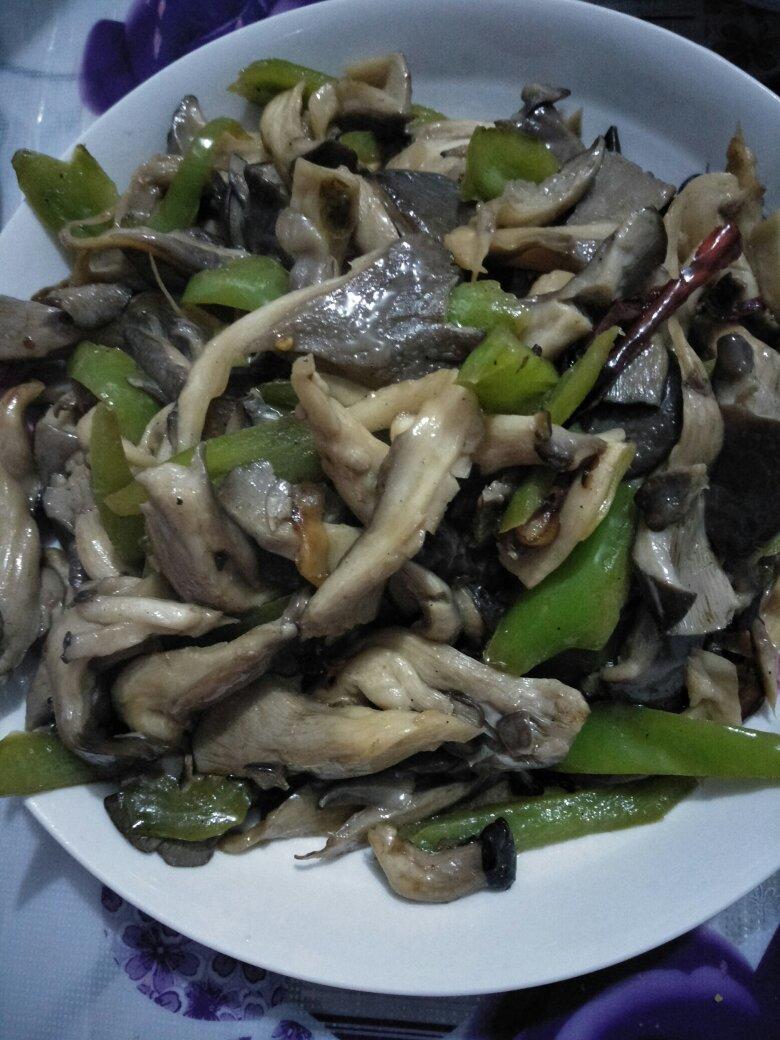 蕊蕊-62做的酸辣蘑菇