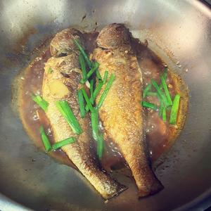 柱侯酱炖黄鱼、红烧黄鱼的做法 步骤9