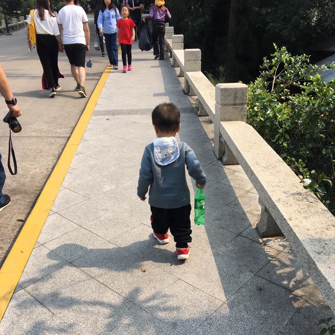 小厨的美好时光