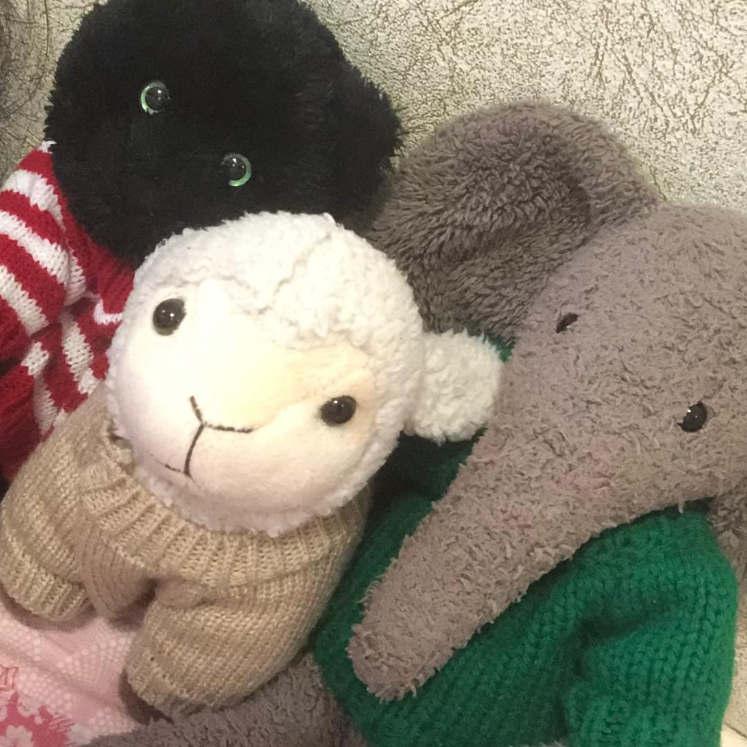 拉菲巧克力饼干