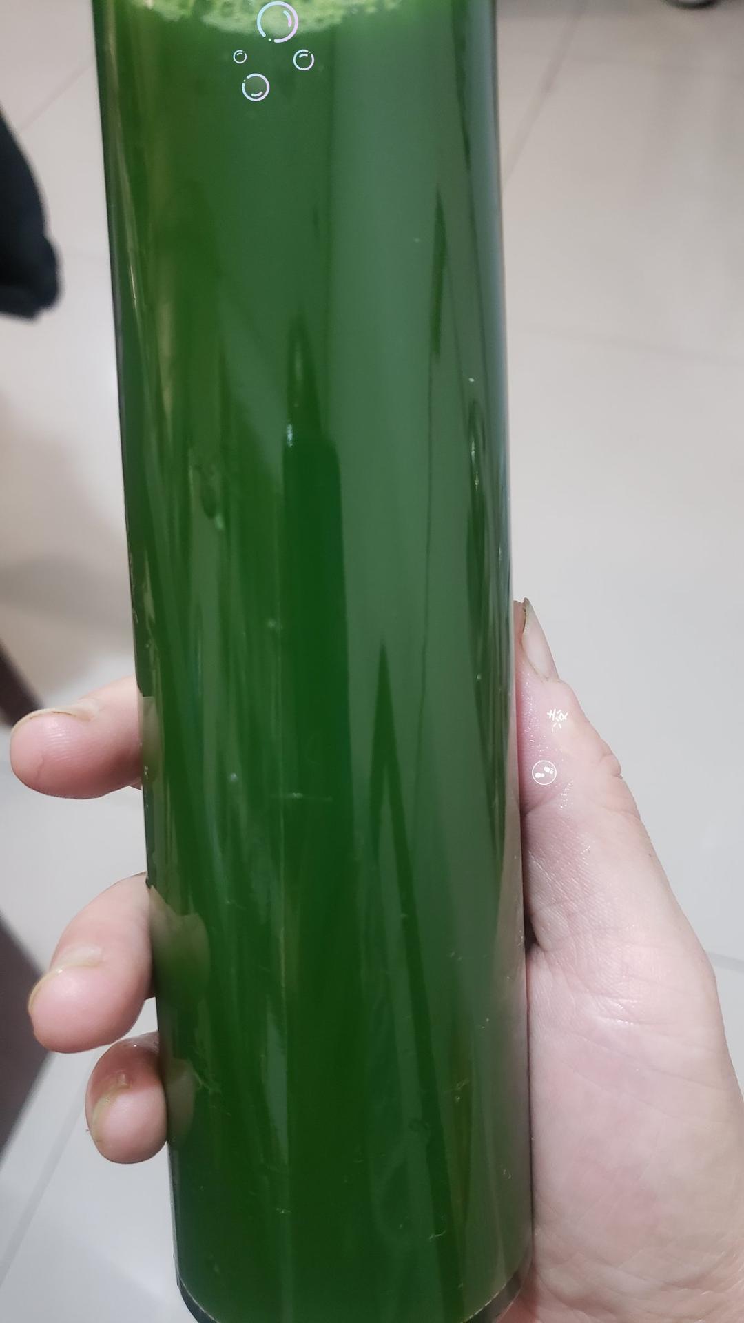 青团原料 | 艾草泥（汁）的做法