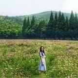 Sunny墨水心s
