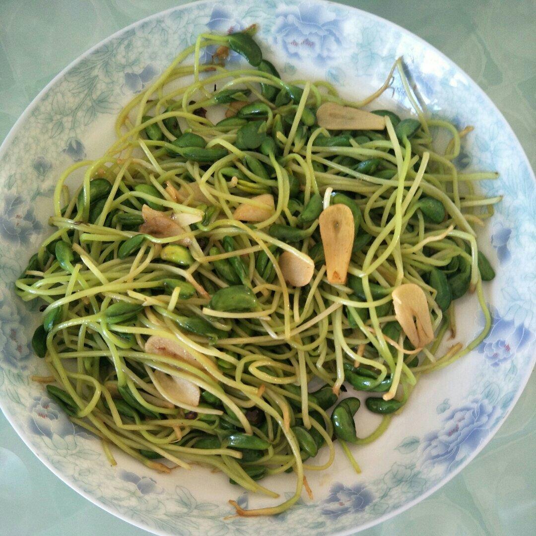 炝炒黑豆苗（珍珠苗）