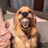 少熬夜了吧