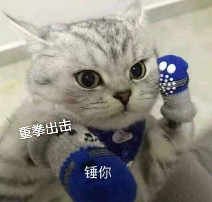 烘焙小菜鸡