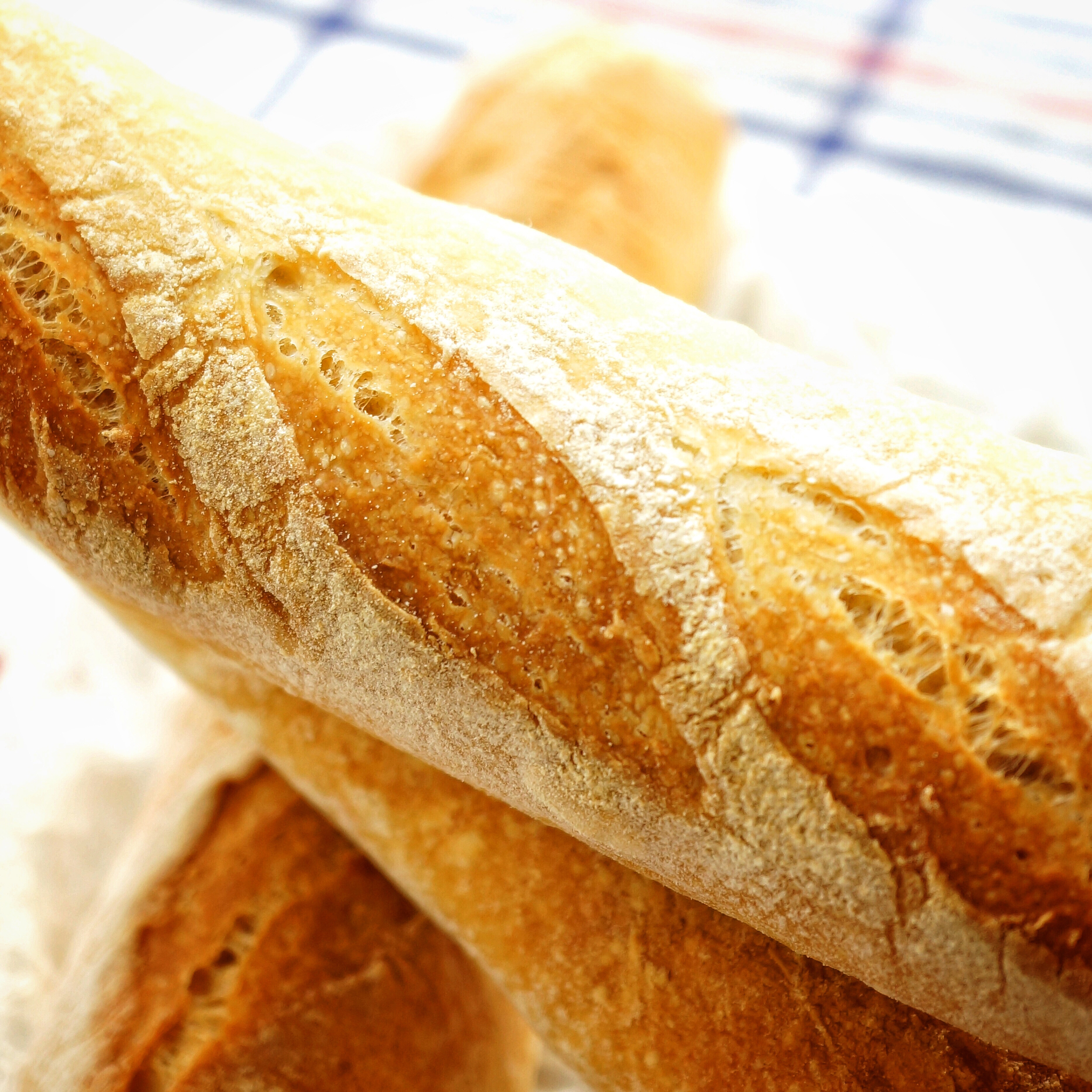 liya_(北京,海淀)19262015-08-02终于做出有"疤瘌眼"和洞洞的法棍了!