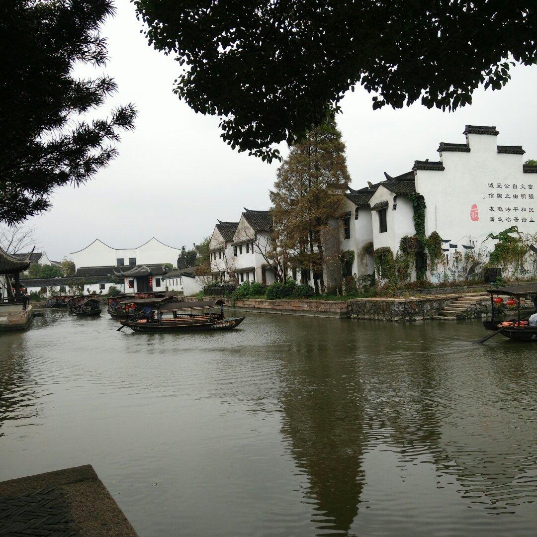 小丑鱼s