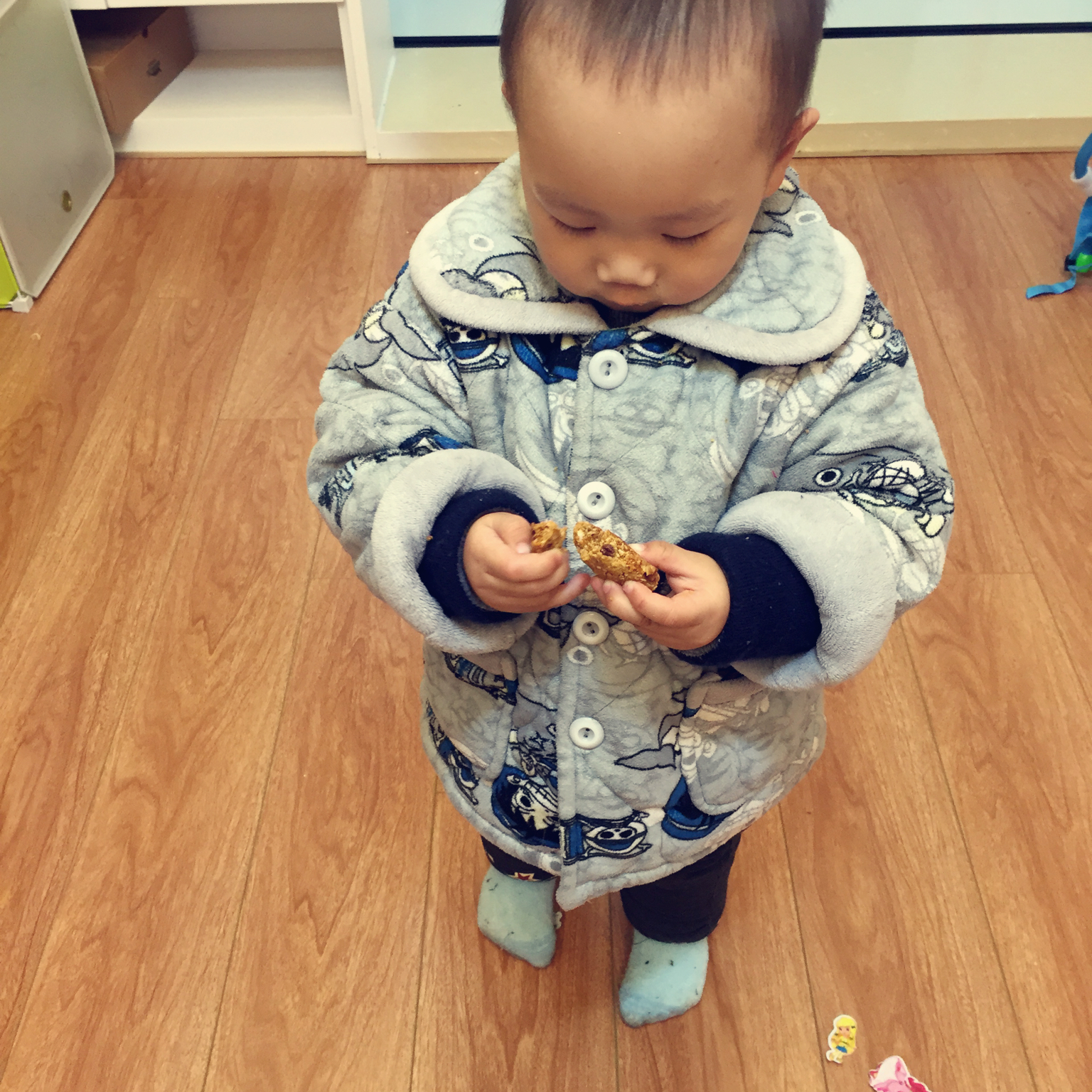 燕麦饼干