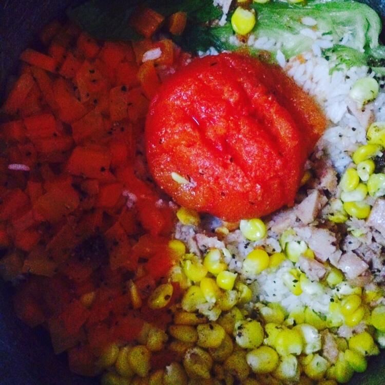 一只番茄饭