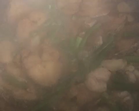 鲅鱼炖蒜苔