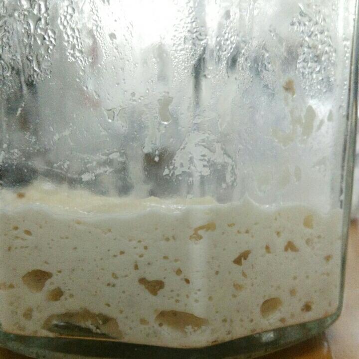 天然酵母宝宝养成记