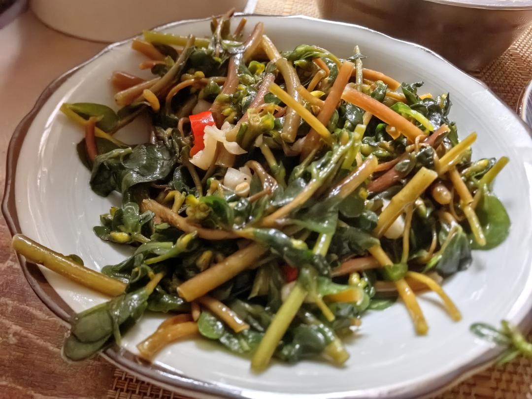 爆香马齿苋
