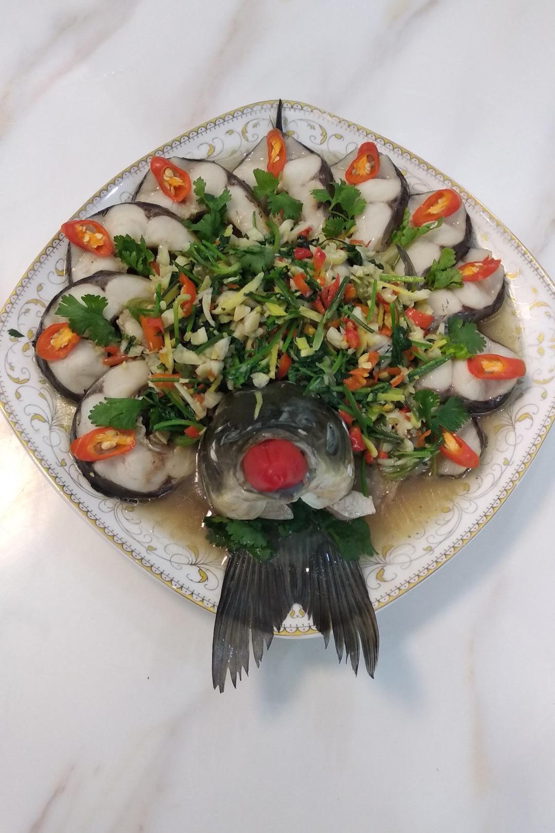 孔雀开屏鱼
