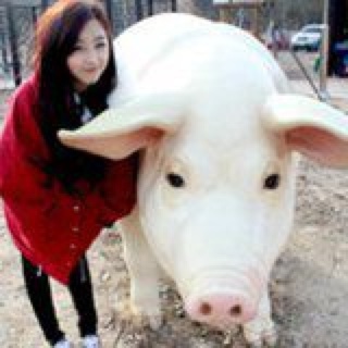 何娜娜是快乐的小疯子