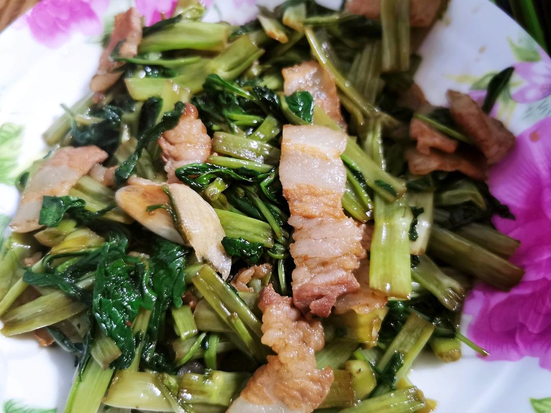 空心菜杆炒肉片