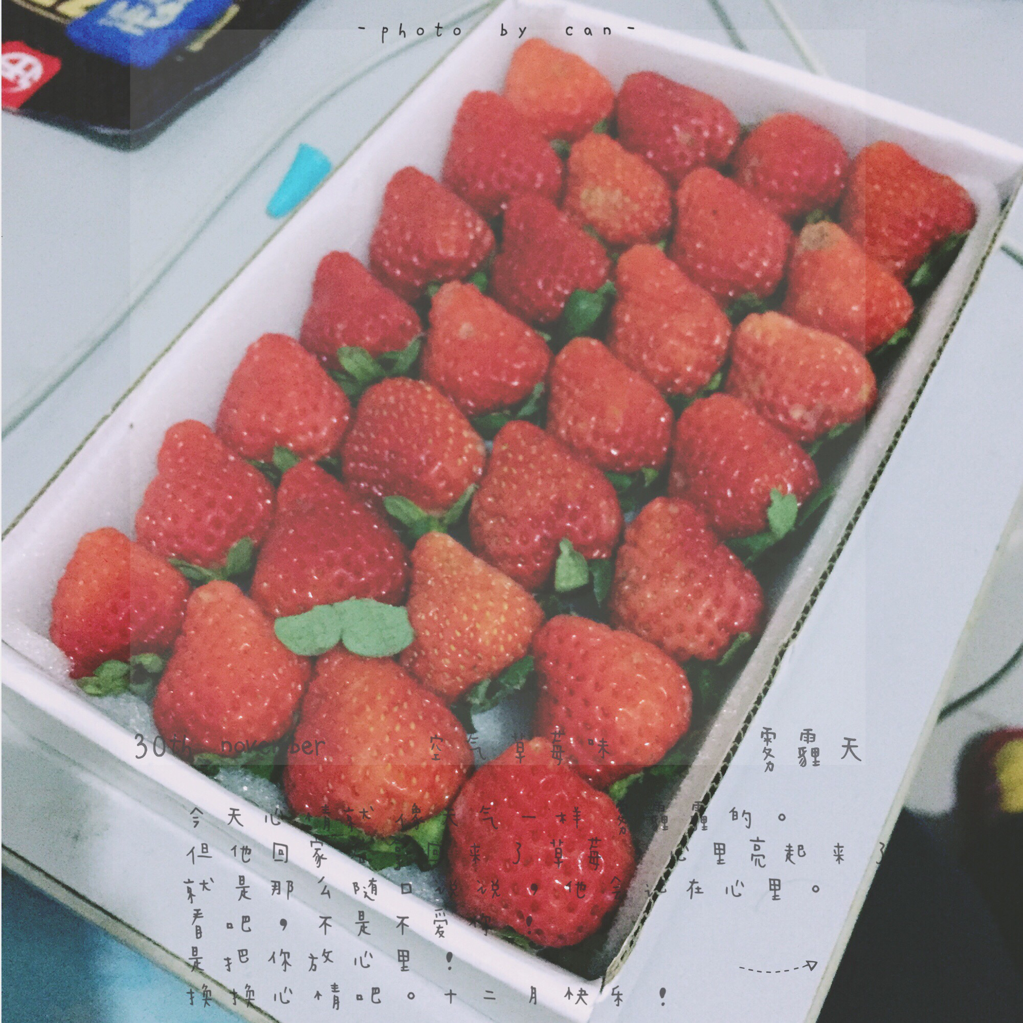 今冬第一颗草莓