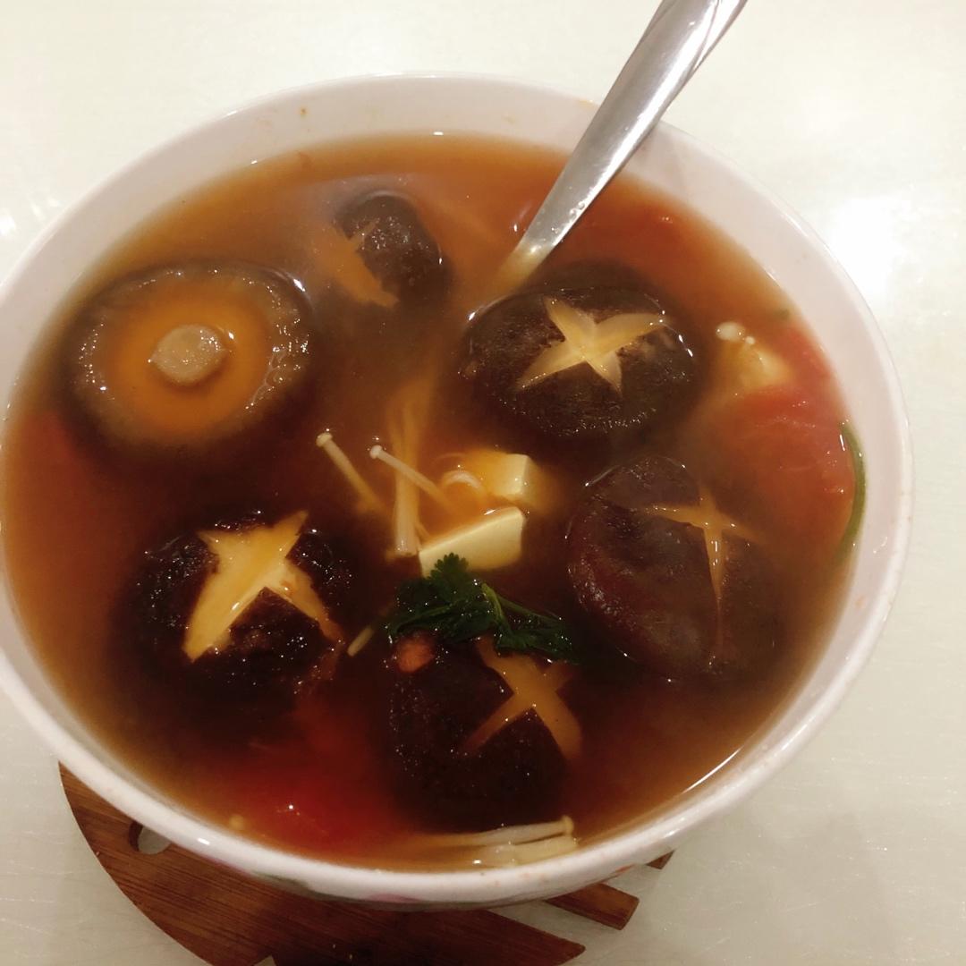 西红柿菌菇豆腐汤