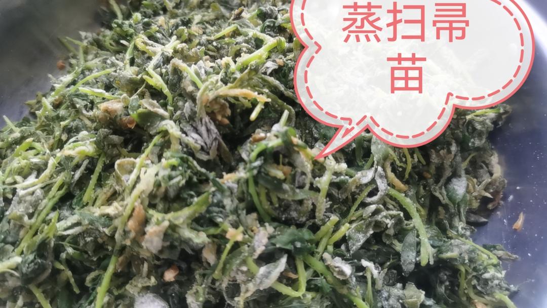 蒸扫帚苗苦累