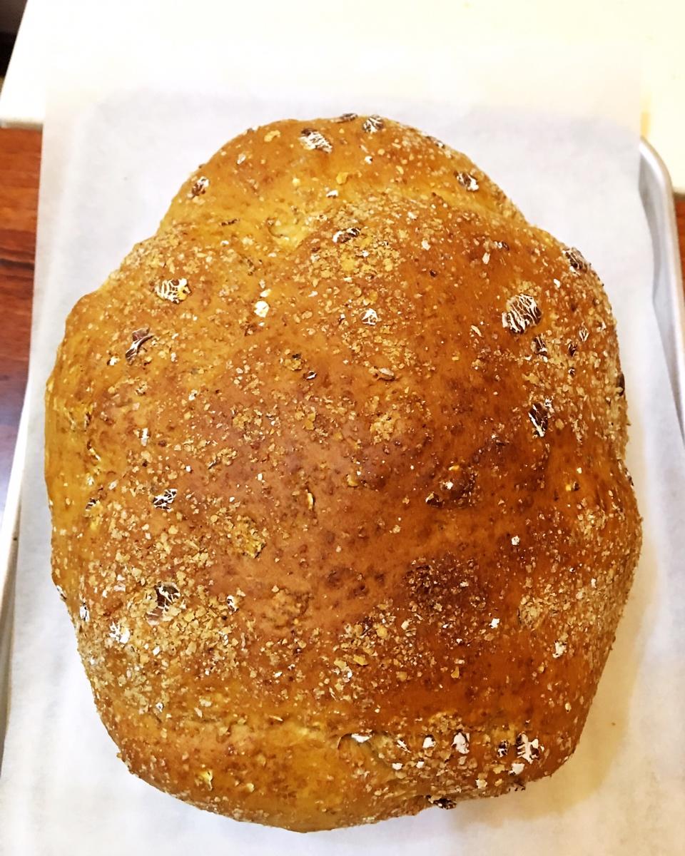 全麦面包无糖无高筋面粉（ABA面包机）