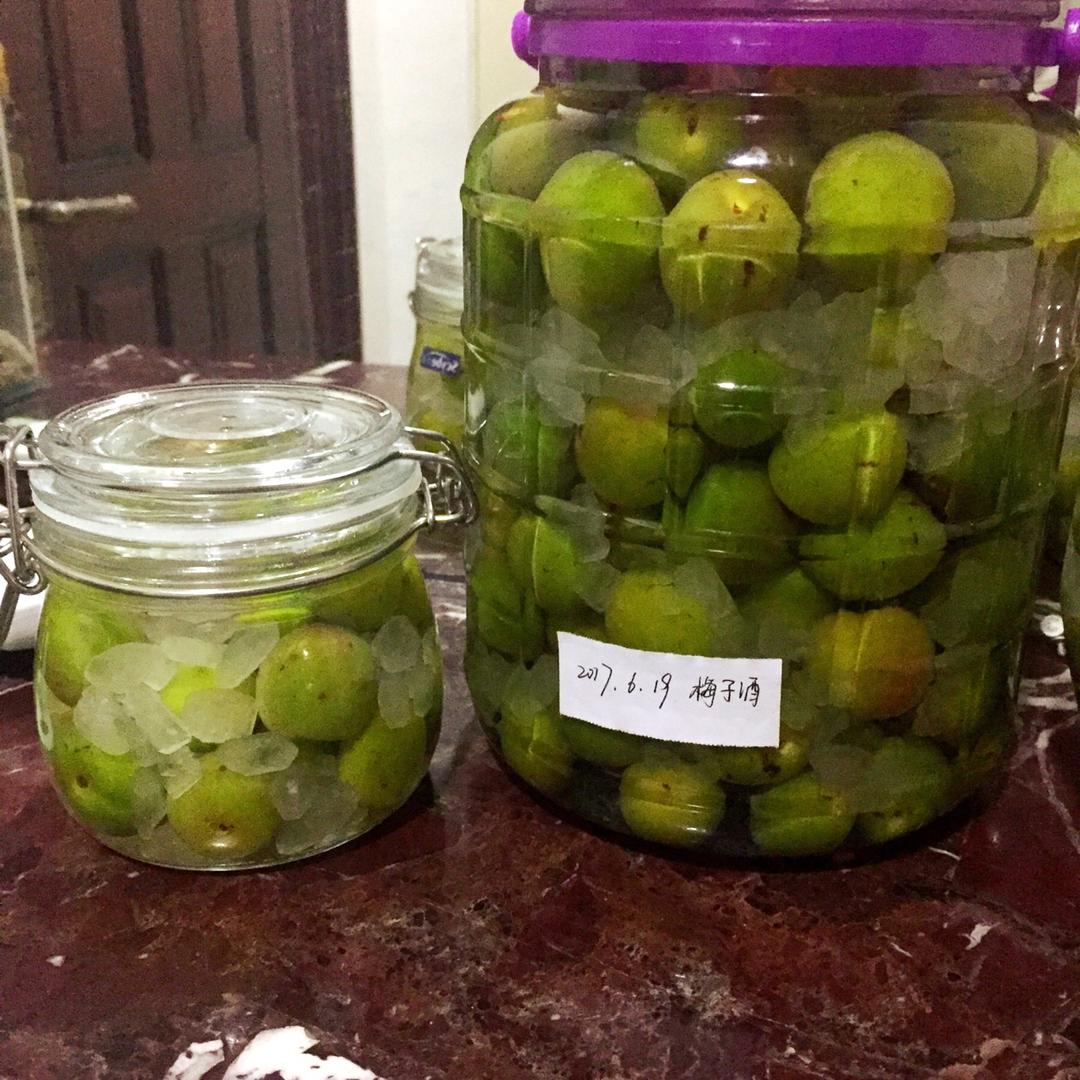 【青梅酒】梅子的沉醉时光（已填坑）