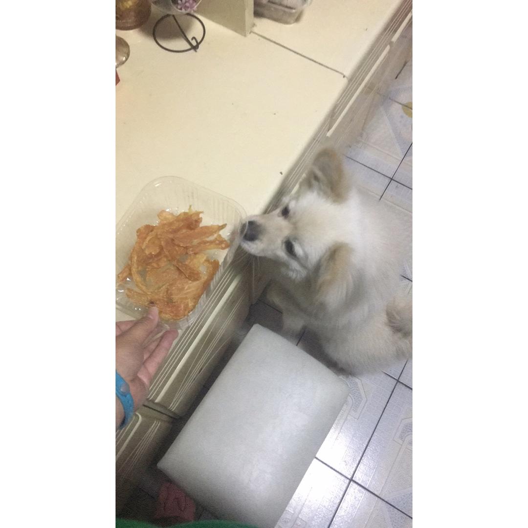 狗狗零食——鸡肉干