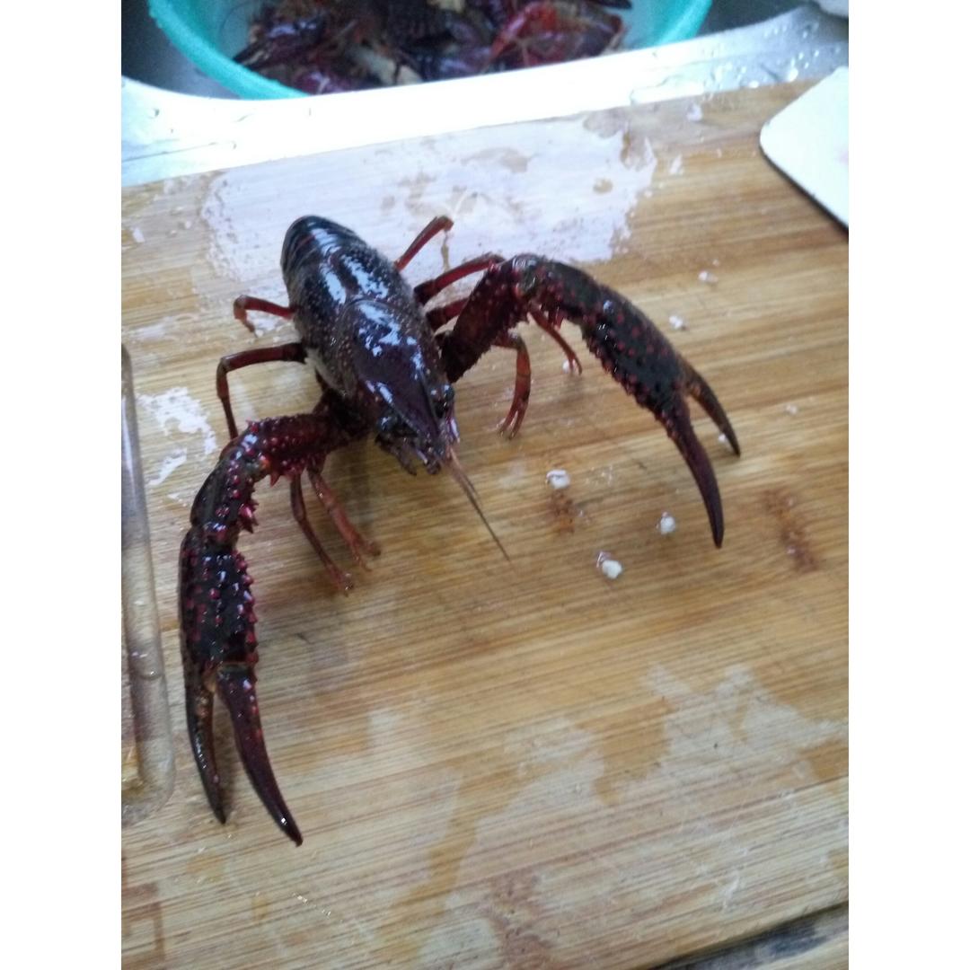 麻辣小龙虾