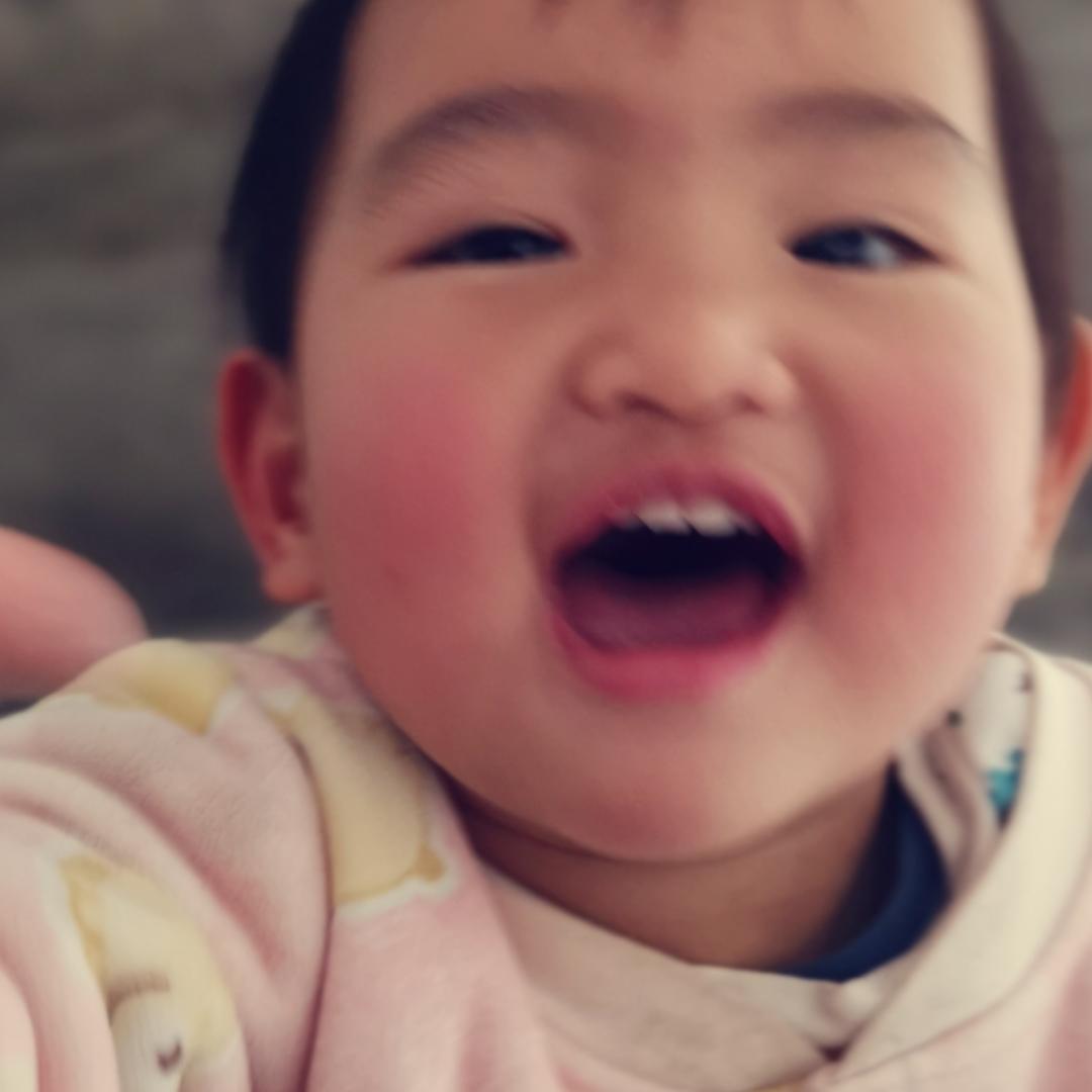 惜澈安桔