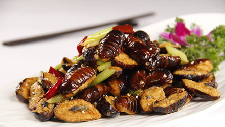 酥脆鲜香：干煸蝉蛹专业复刻菜谱