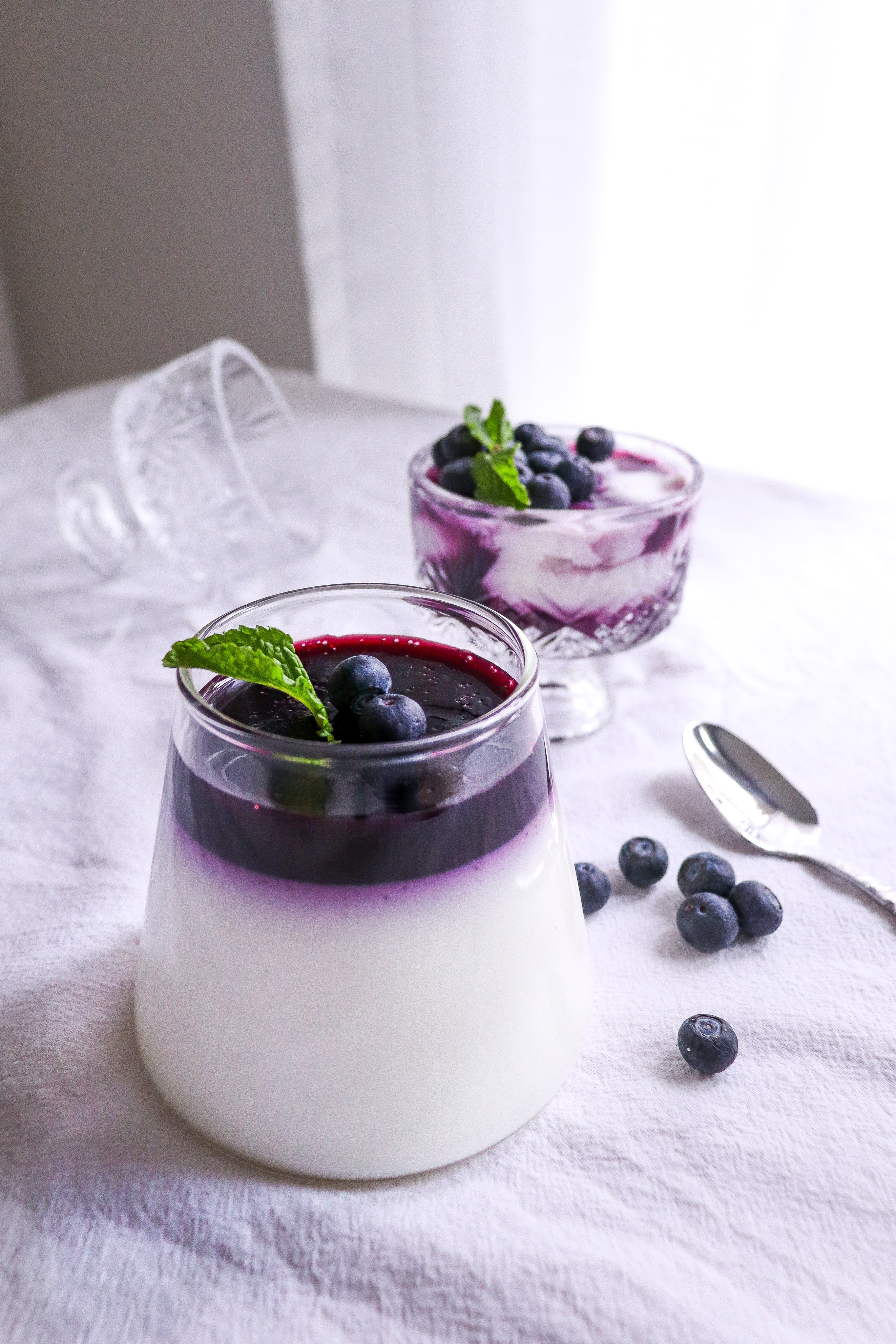 零难度低脂低糖版㊙️蓝莓意式奶冻的做法