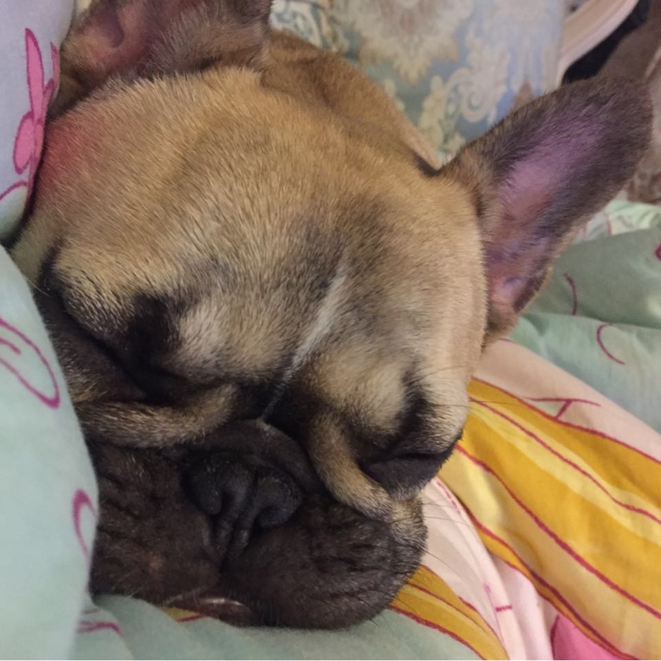 maxxxx