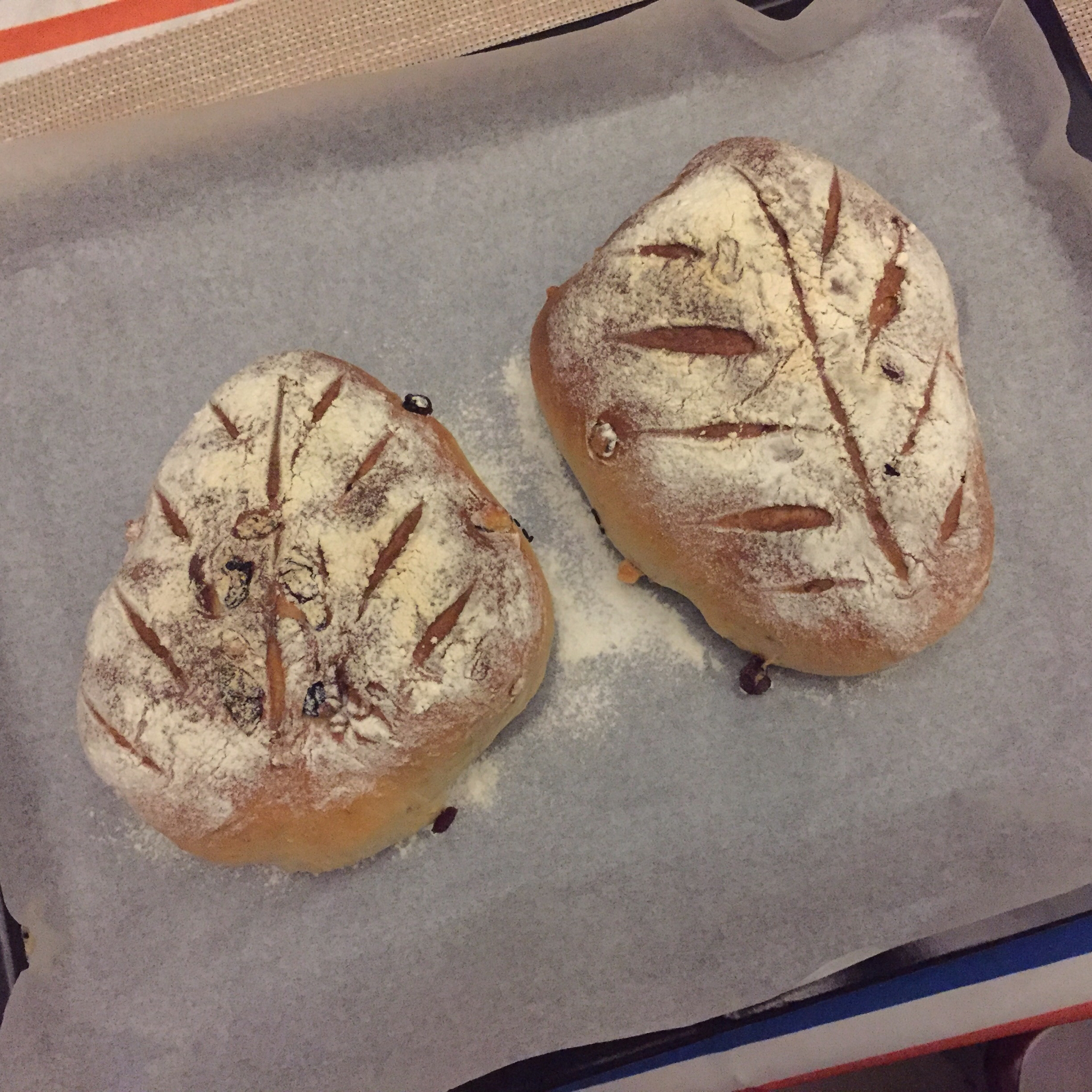 树叶树的果实软欧包