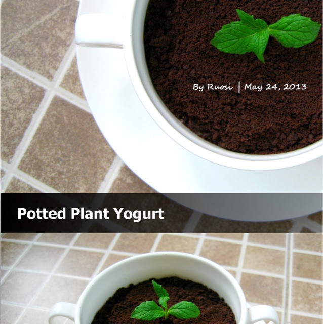 酸奶盆栽/继续延续小清新风/治愈系甜品