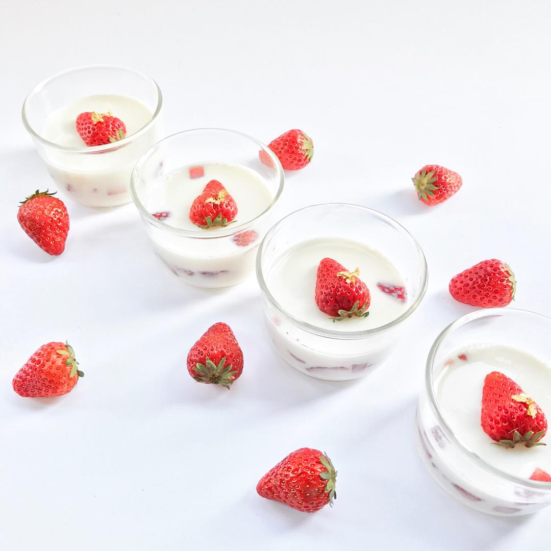 意式奶冻 panna cotta