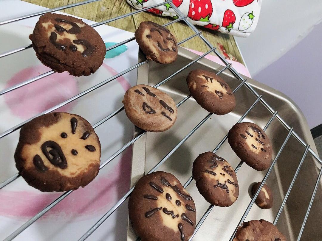 萌哭了的可可狮子饼干