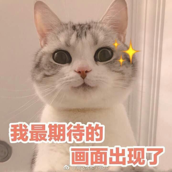 轻食不厌世 减脂进行时的做法