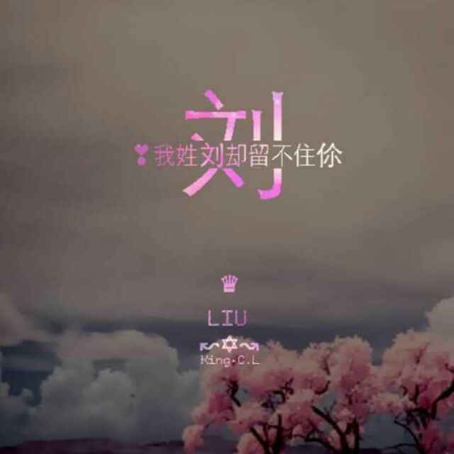 刘强强强强强啊