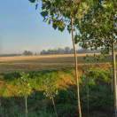 手机用户9038_yn2r