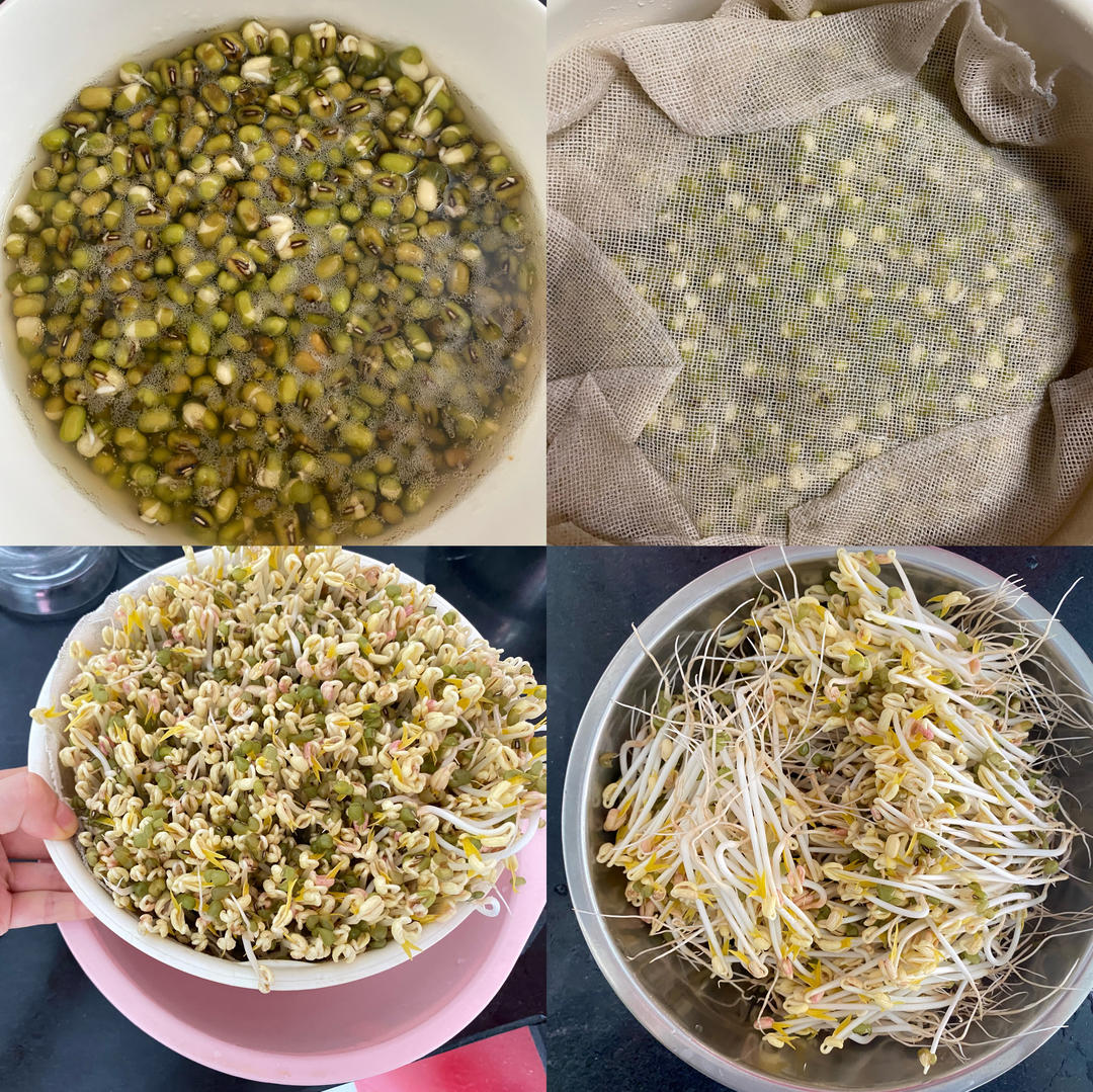 自发绿豆芽/自生豆芽/自制豆芽