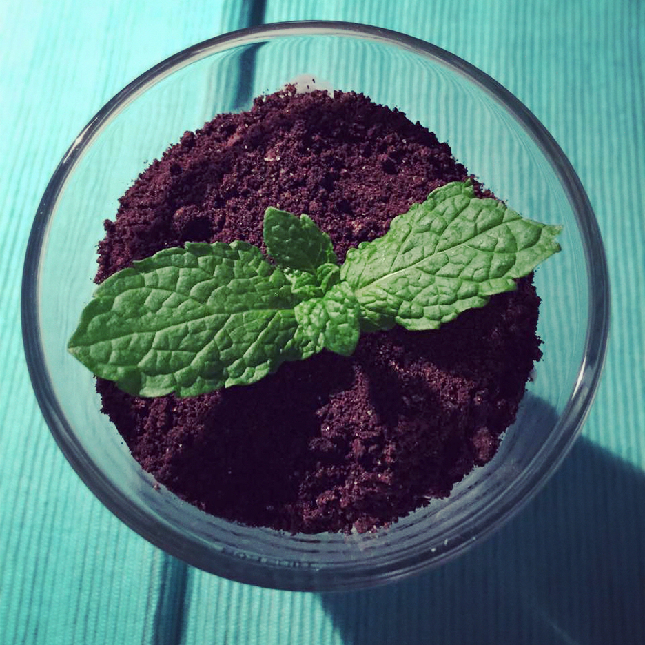 改良进阶二合一版盆栽木糠杯