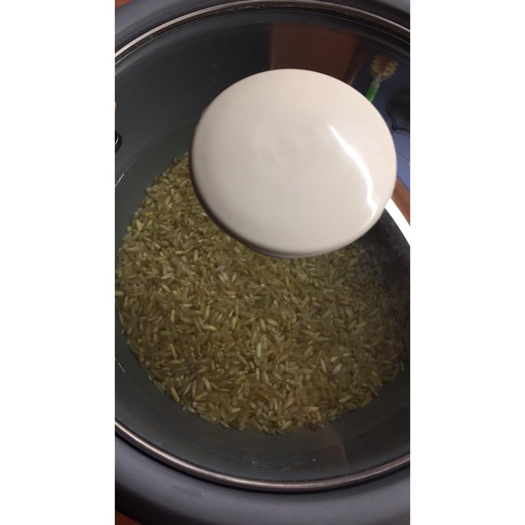 【史上最详细·糙米饭】