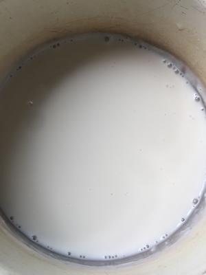 桂花西米椰奶冻的做法 步骤5