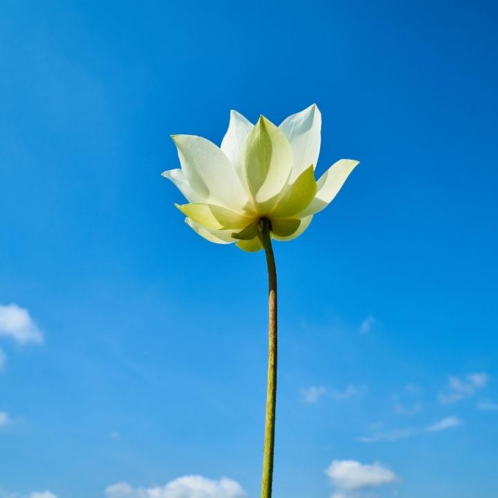 浅海里的温暖阳光