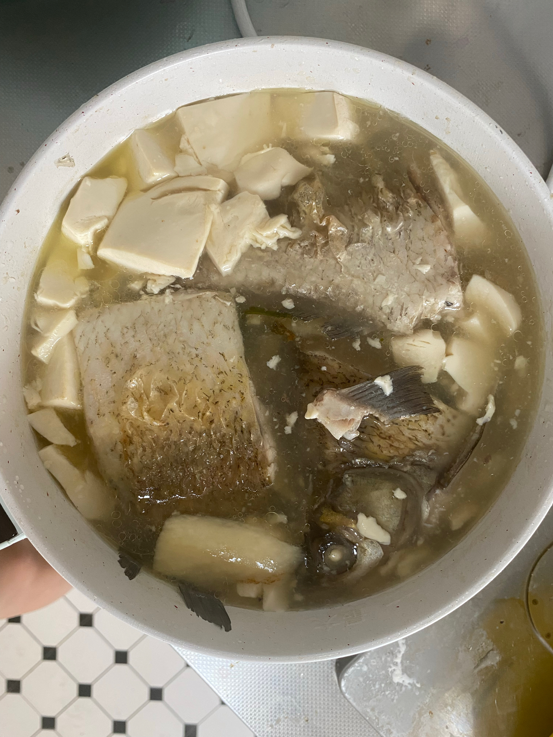超级鲜的鳊鱼豆腐汤