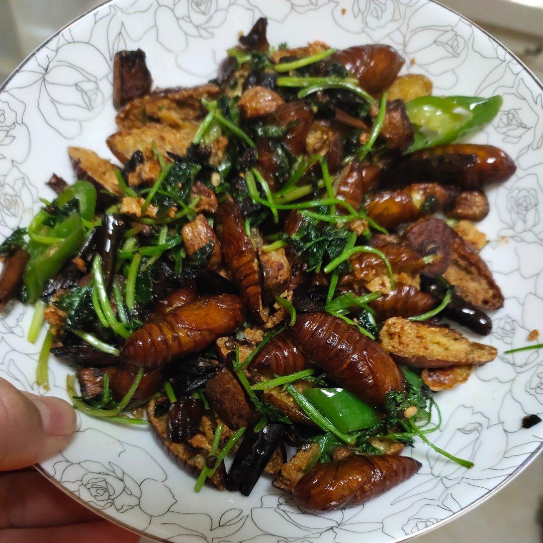 干煸蚕蛹
